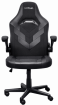 Компьютерное кресло Trust GXT 703 RIYE Black (25128