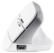 Computer mouse Trust Bayo+ Ergonomic White (25399