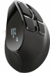 Computer mouse Trust Voxx Ergonomic Black (23731